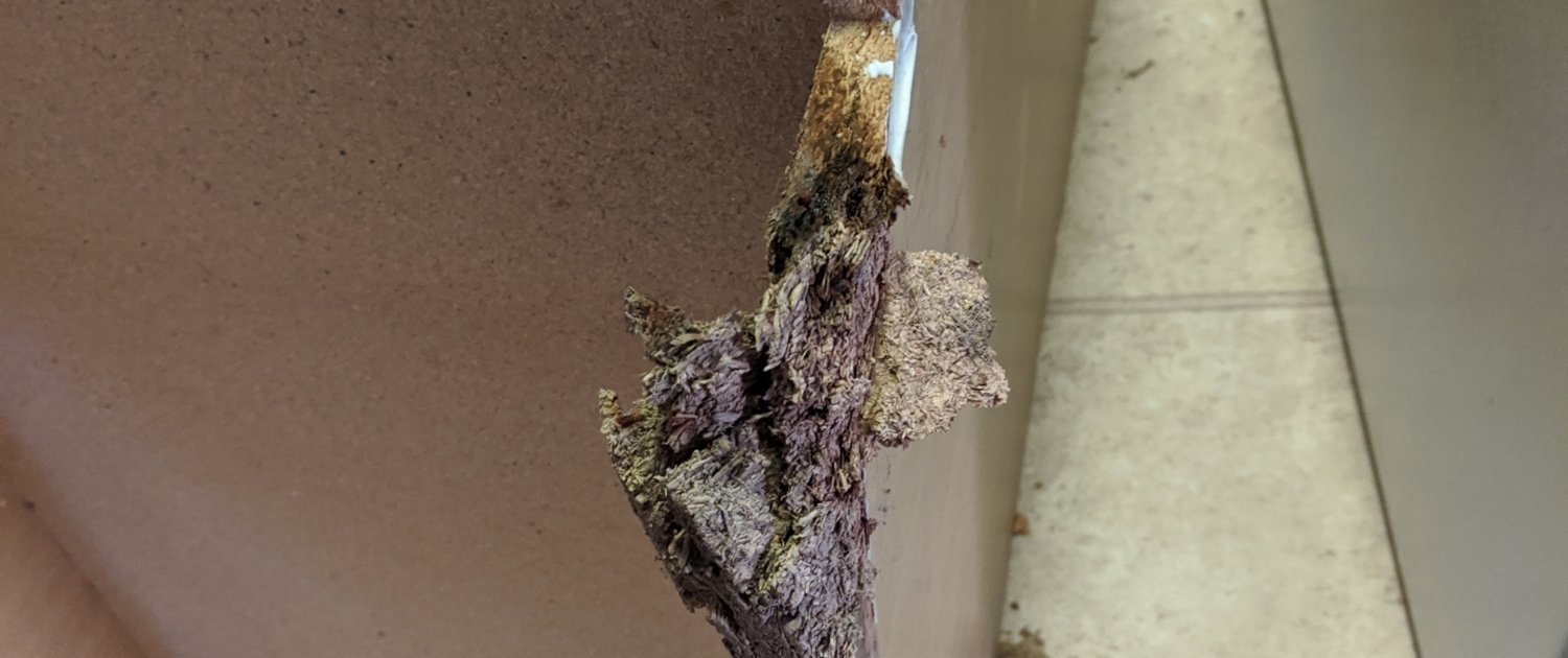 Water damage to the bottom of a kitchen cabinet shows rotten wood